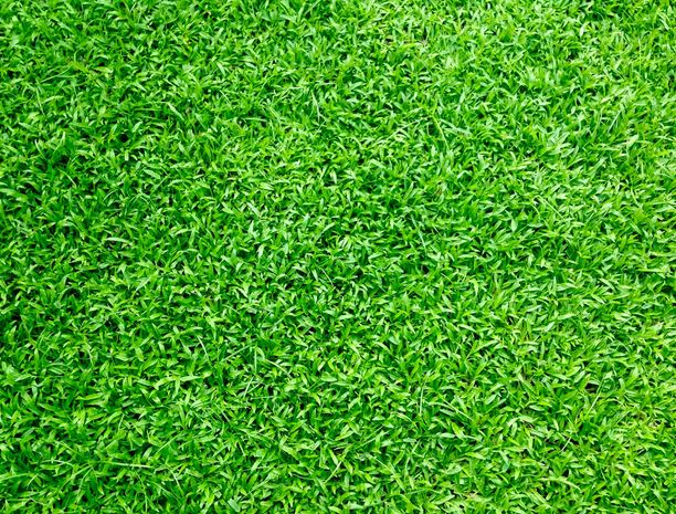 Why Synthetic Grass Can Save You Money On Your Commercial Property