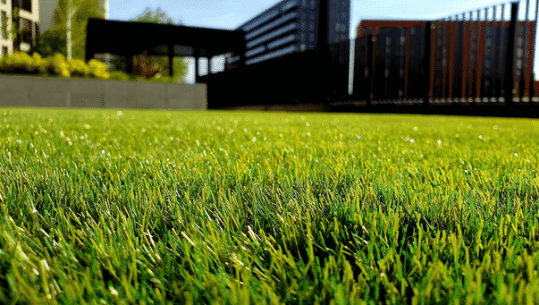 Cost of Installing and Repairing Artificial Grass in Perth