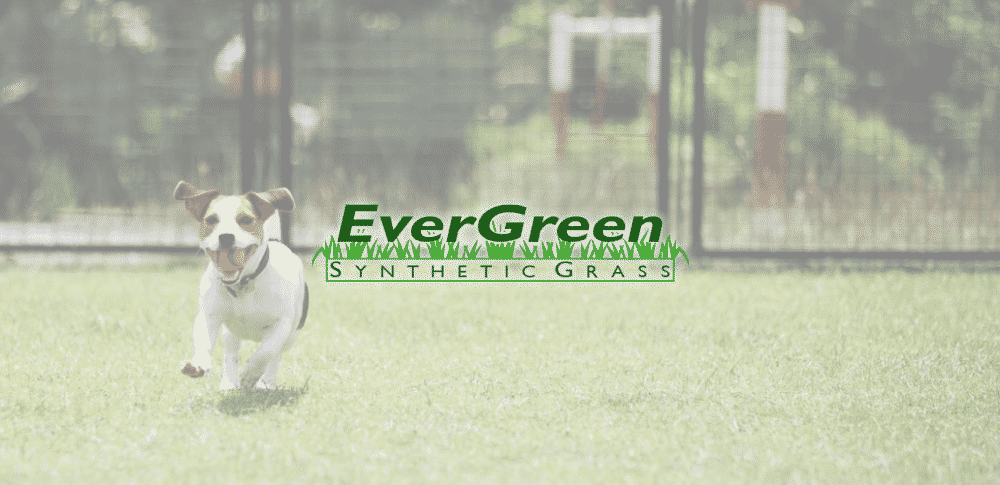 We are proud to be Perths synthetic grass experts